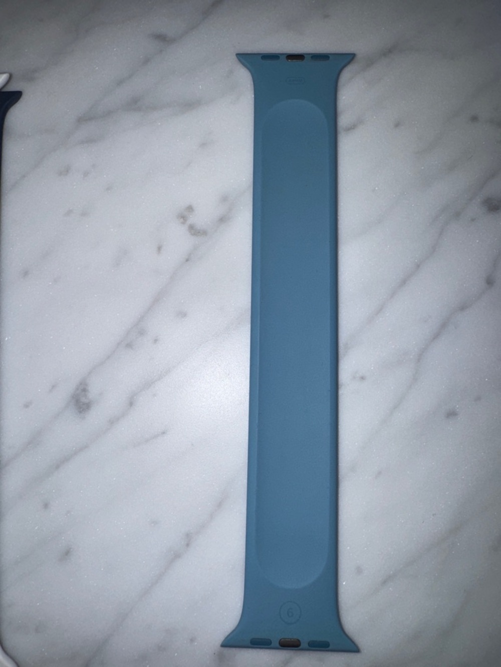 Apple Silicone Watch Band in Sky Blue size 44
